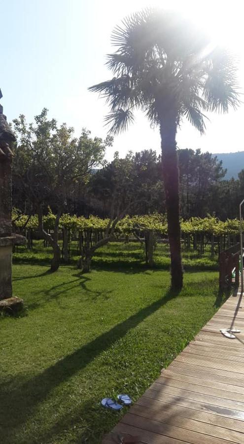 Os Areeiros Turismo Rural & Bodega Santa Cristina De Cobres Kültér fotó